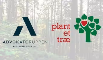 Plant et træ Advokatgruppen testamente advokater
